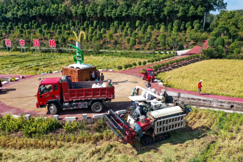 中国经济样本观察・“镇”了不起丨一碗醪糟醉全球！“酿”出来的70亿元“甜蜜产业”