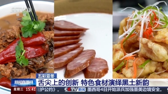 黑土地、黑科技、黑色资源 一起了解亚冬会里的黑色密码