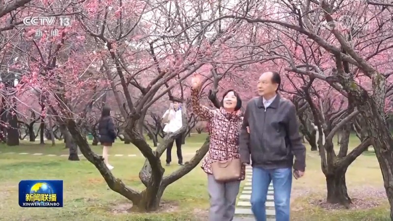 节后旅游市场热度不减 错峰游火热