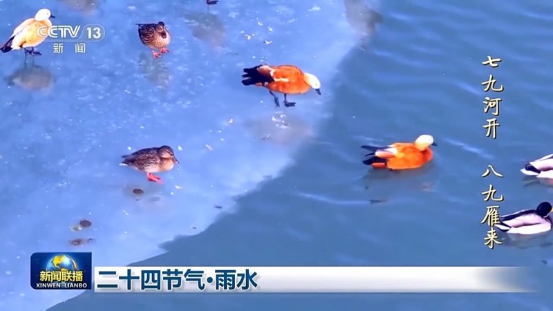文化中国行丨二十四节气・雨水 好雨知时节 当春乃发生