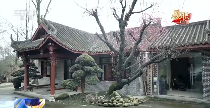 履职一年间丨“让更多人看到村里有啥” 关于数字乡村建设 她说了句大白话