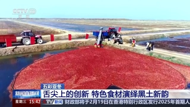 黑土地、黑科技、黑色资源 一起了解亚冬会里的黑色密码