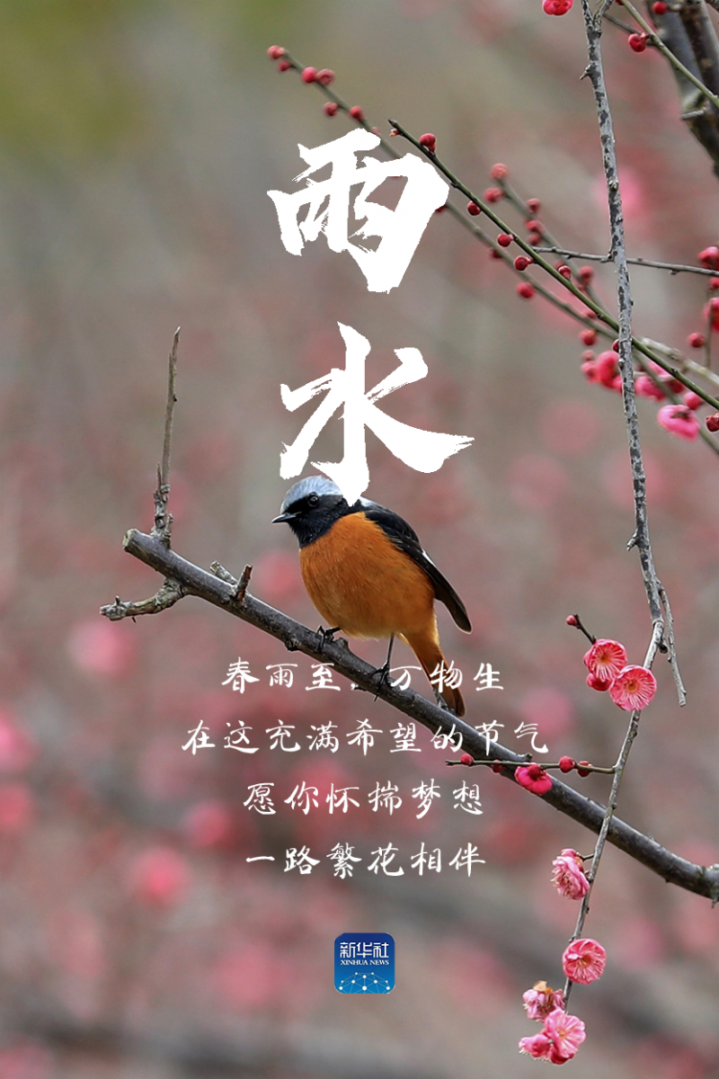 雨水！祝你水到渠成