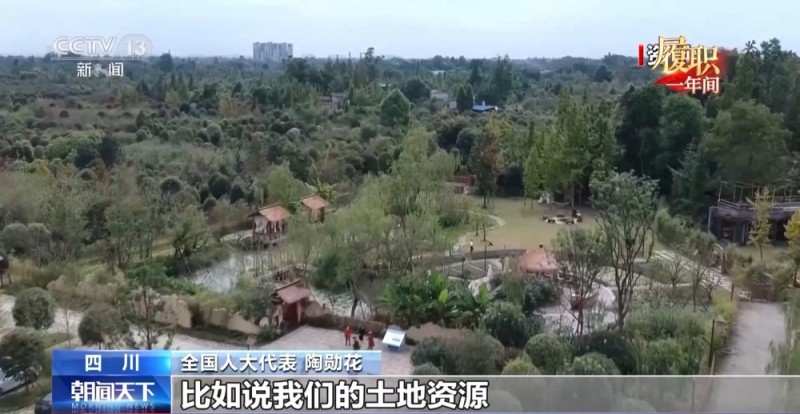 履职一年间丨“让更多人看到村里有啥” 关于数字乡村建设 她说了句大白话