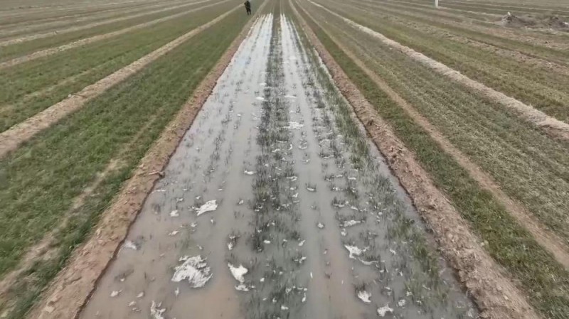 新华视点丨春耕春管正当时 共绘丰收好图景