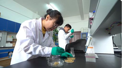 让“中国饭碗”装进更多“吉林粮”