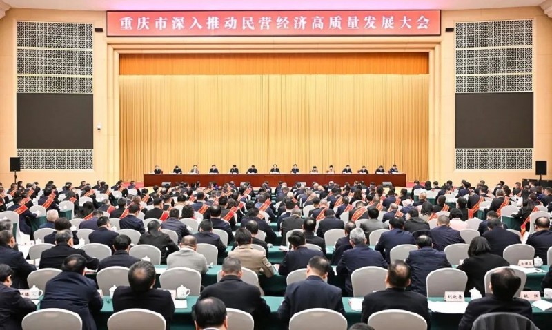 重庆t望｜超常规！重庆提速建设民营经济发展高地
