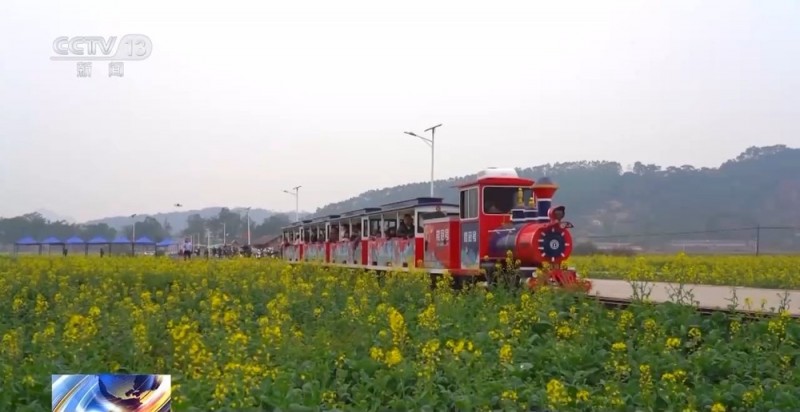初春时节出游赏景  这些好去处不要错过