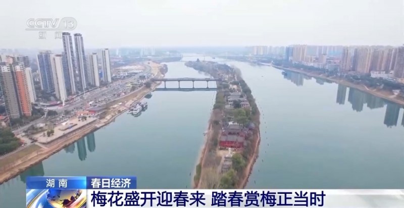 初春时节出游赏景  这些好去处不要错过