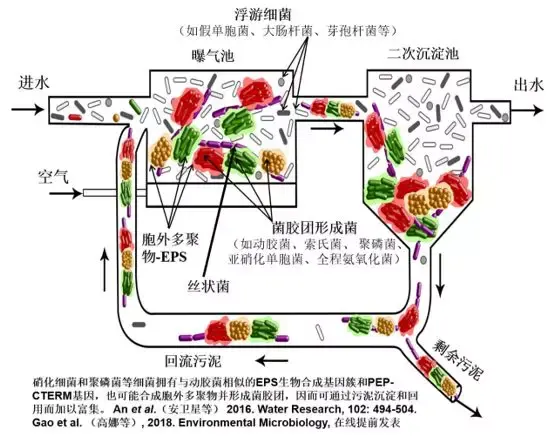 细菌之间,有个能“打电话”的局域网