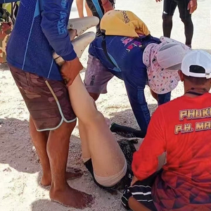 女子在泰国浮潜脑死亡，现场目击者：听到了‘咚’的一声响，怀疑是摩托艇撞到了