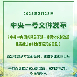 2025年中央一号文件发布