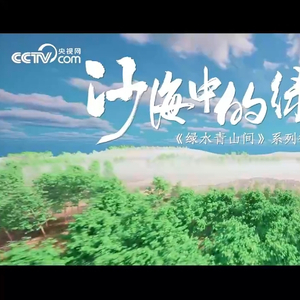 绿水青山间｜沙海中的绿色交响