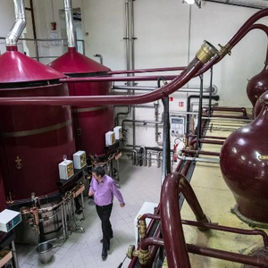 干邑厂商：马克龙承诺要跟中国谈，快去啊