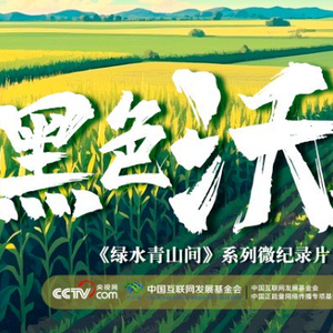 绿水青山间｜黑色沃土