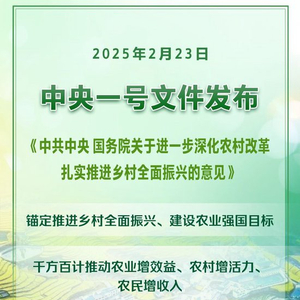 新华社权威快报｜2025年中央一号文件发布