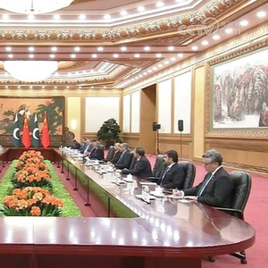 习近平同巴基斯坦总统扎尔达里会谈