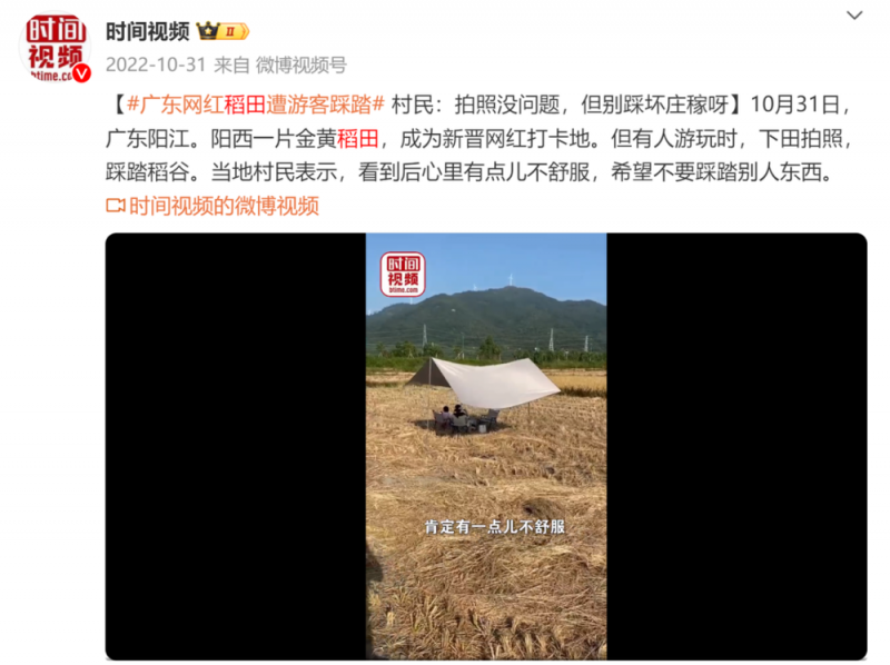 看丹观察丨感受“孤独的树”之美，也要有边界！