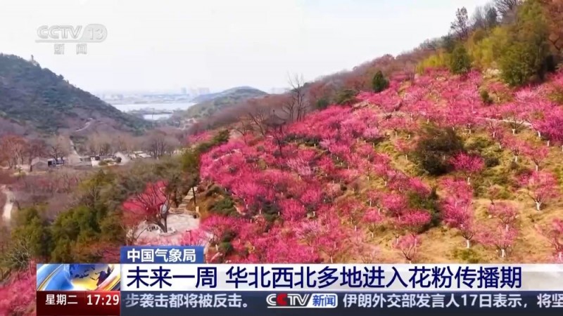 未来一周气温回暖 春暖花开也需防过敏