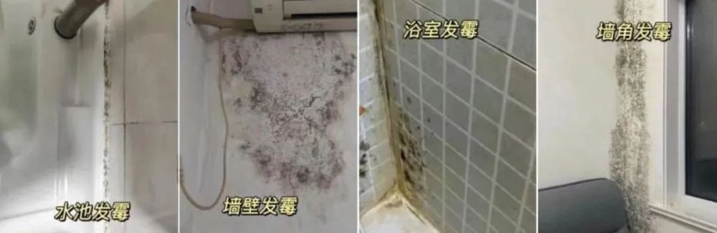 确诊1例！毒性是砒霜的68倍！千万警惕……