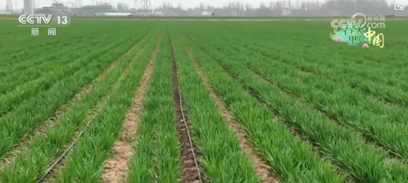 科技赋能春耕春管！智慧农业护航 筑牢粮食稳产根基