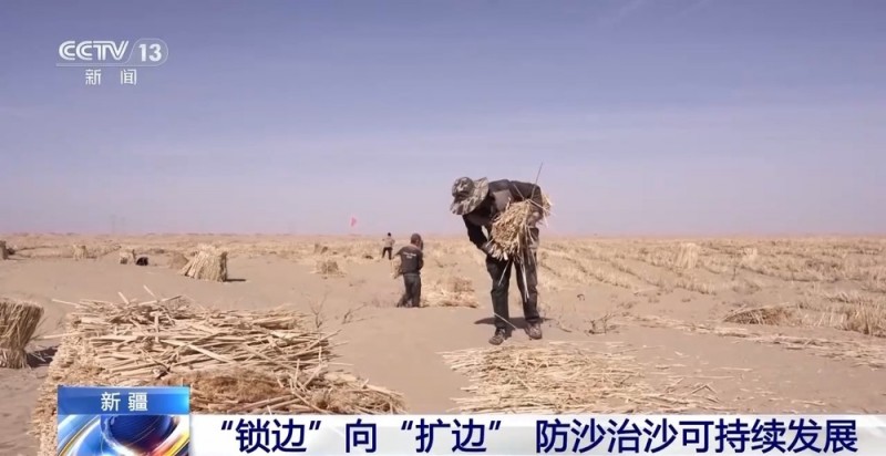 “锁边”→“扩边” 塔克拉玛干沙漠植树造绿迎来新进展