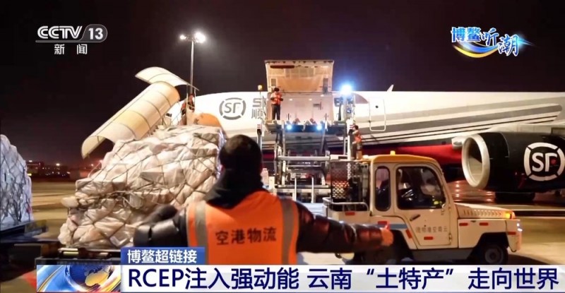 抢“鲜”生意手慢无 云南鲜花香飘世界