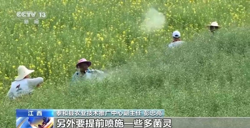 中东部气温骤降 对春耕春管影响几何？如何应对？