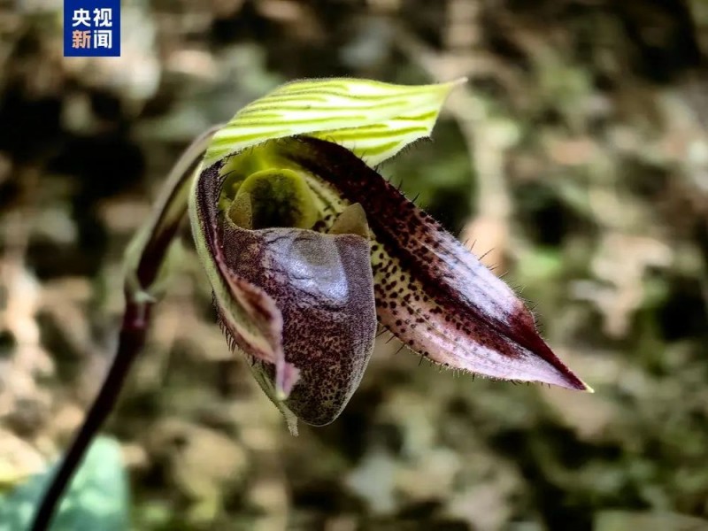 7点出发丨一县医院月薪1750元招保安，要求35岁以下！院方回应→