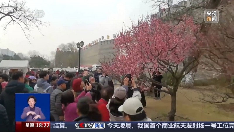 北京、南京等多地春游人气火爆 邀你来一场“追花之旅”