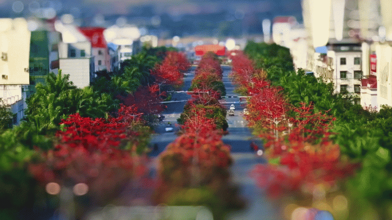 移轴带你看春天｜赏春花、趣春游，在山间田野赴一场春日之约！