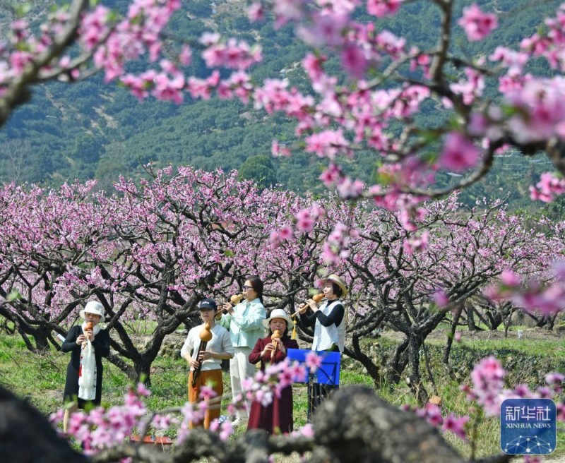 春暖赏花正当时