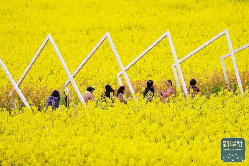 春暖赏花正当时