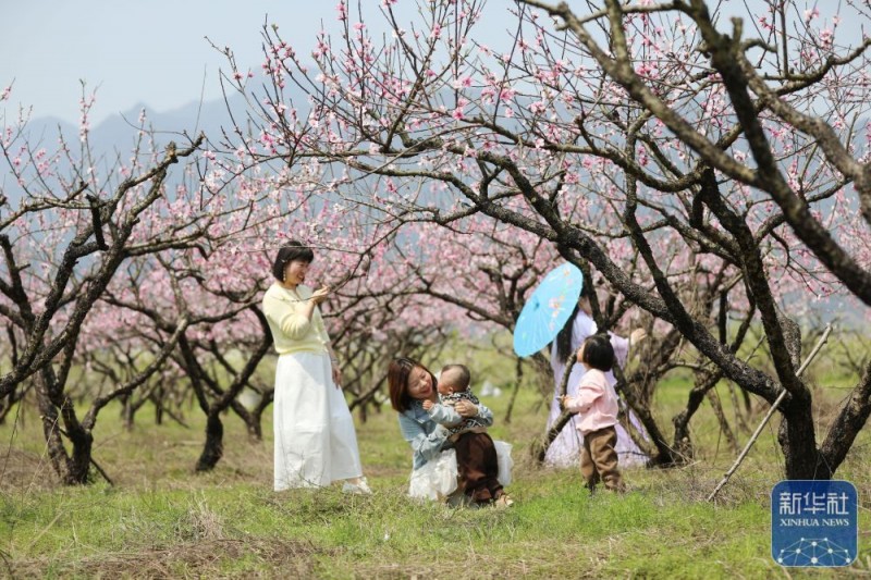春暖赏花正当时