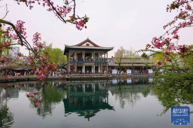 春暖赏花正当时