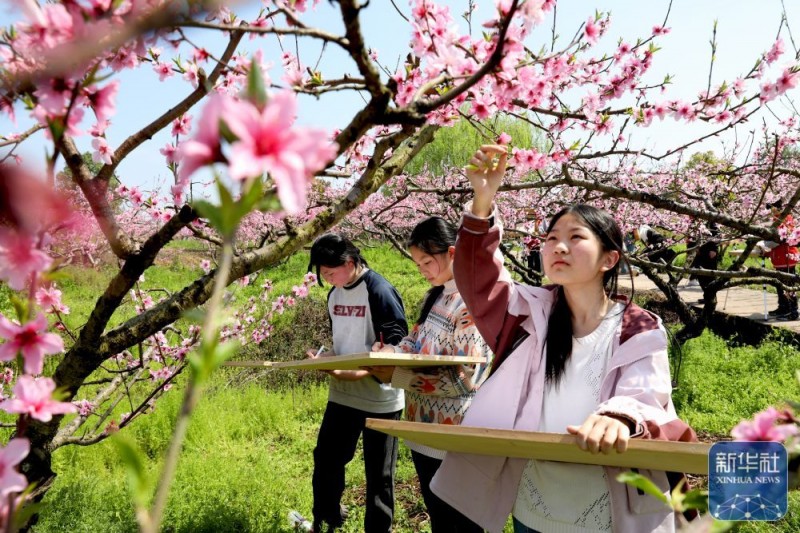 春暖赏花正当时