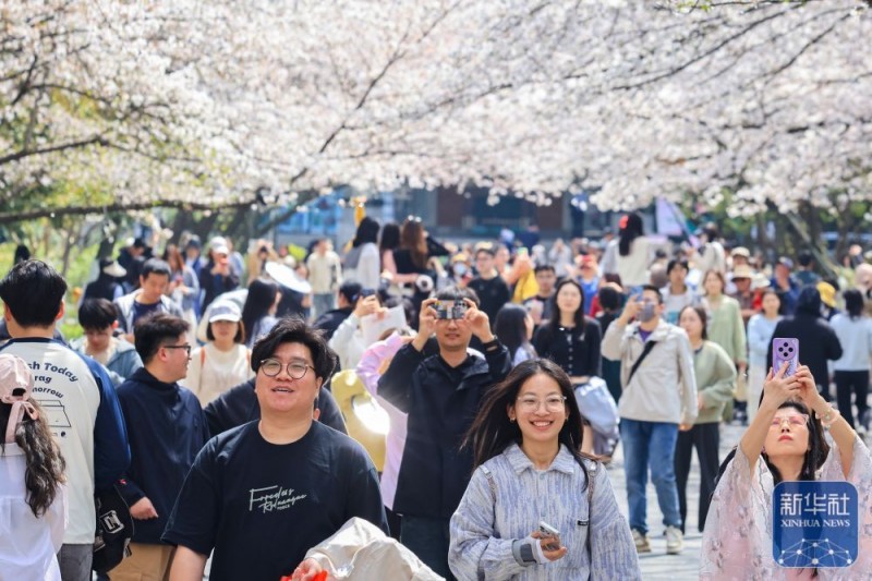 春暖赏花正当时
