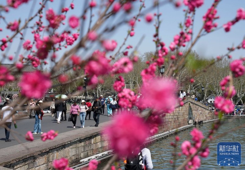 春暖赏花正当时