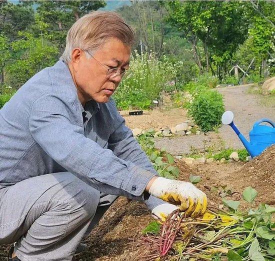 连文在寅也不放过?