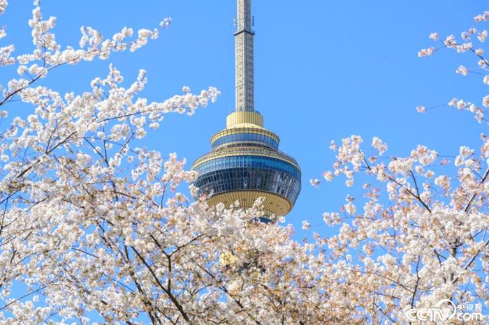 【8点见】中国救援队在缅救出被困近60小时幸存者