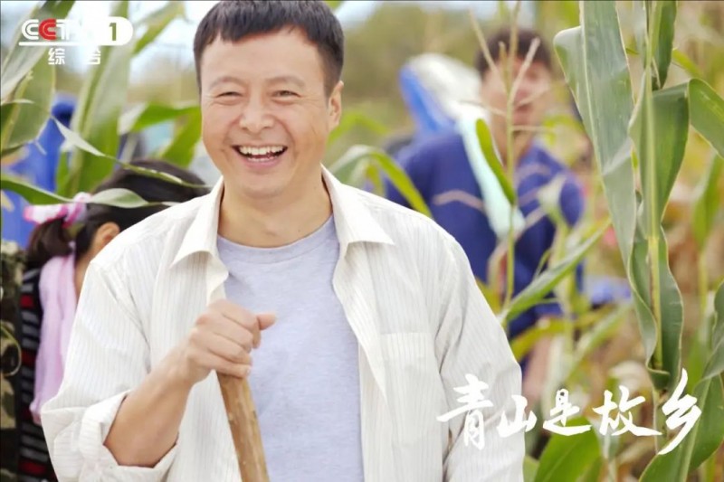 向下扎根，向上生长！电视剧《青山是故乡》  CCTV-1今晚开播