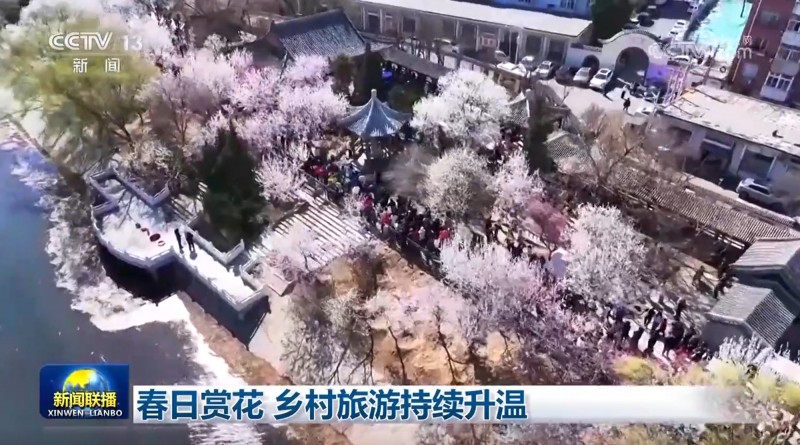 春日赏花 乡村旅游持续升温