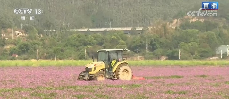 农业生产向“智”向“新” “太空紫云英”化为春泥助春耕