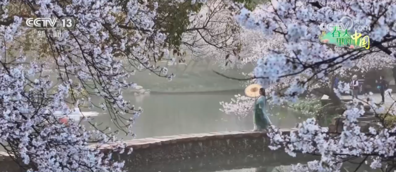 “春赏花、秋食果”沉浸式感受神州大地满园春色和澎湃活力