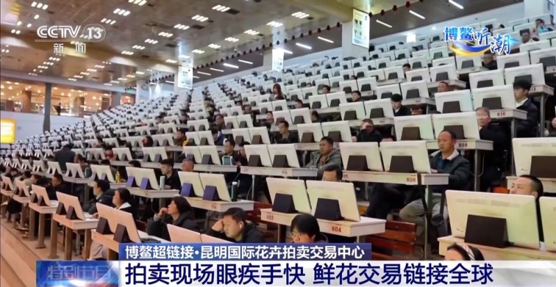 抢“鲜”生意手慢无 云南鲜花香飘世界