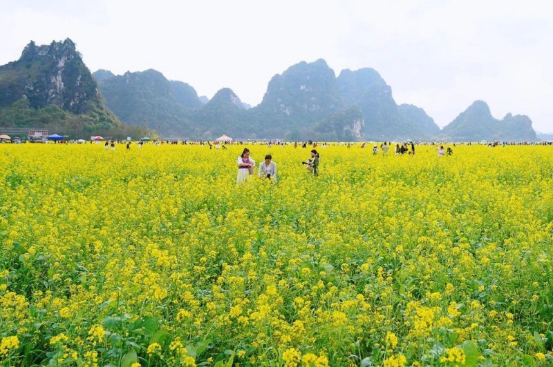 春意渐浓，这条高铁沿线的宝藏城市“藏不住”了！