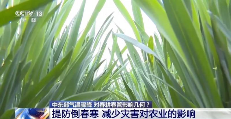 中东部气温骤降 对春耕春管影响几何？如何应对？
