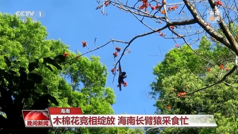 “花样经济”升温 带你“花式”解锁好春光