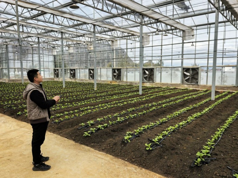 新华全媒+|田畴新景迎春光――西部地区春耕田间的“科技范儿”