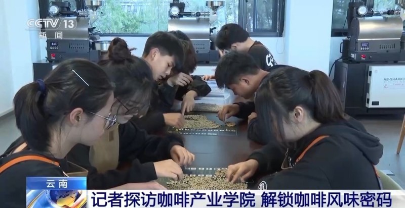 “左手咖啡右手茶” 两张产业名片助力云南经济腾飞